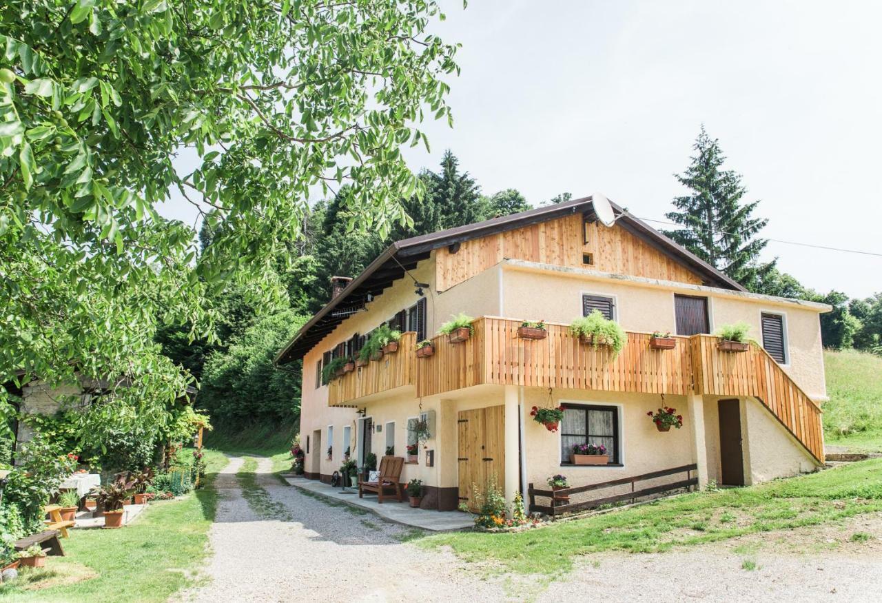 Pocitniska Hisa Pologar Guest House Tolmin Bagian luar foto